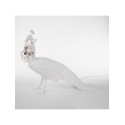 SELETTI Peacock Lamp - Peacock lamp