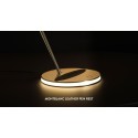 SLAMP Overlay and Meisterstuck Legrand ballpoint pen
