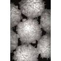 SLAMP Veli 7 Pendant Lamp
