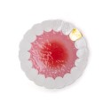 Buy SELETTI Tooth Plate smokes online ? Fast and safe delivery!