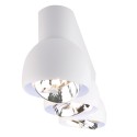 PSM Lighting Olivia 1813 Ceiling Lamp