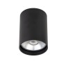 PSM Lighting Richard W1610 Ceiling Lamp