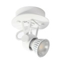 PSM Lighting Ringo 3242 Ceiling Lamp