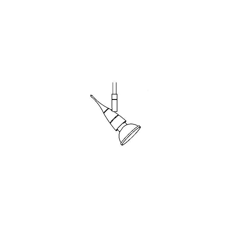 PSM Lighting Colibri 8030 Ceiling Lamp / Wall Lamp