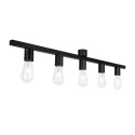 PSM Lighting Maestro 5050.5 Ceiling Lamp