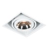PSM Lighting Spinner X 1871 Recessed Spot