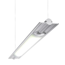 PSM Lighting Butterfly 2803Led Suspension Lamp