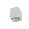 PSM Lighting Spinner X Ds 1885Ds.Es50 Ceiling Lamp