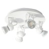 PSM Lighting Ringo 3245 Ceiling Lamp