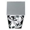 PSM Lighting Spinner X 1892 Ceiling Lamp