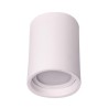 PSM Lighting Cameleon 1521.Zxo Ceiling Lamp