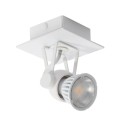 PSM Lighting Ringo 3231 Ceiling Lamp