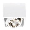 PSM Lighting Spinner X 1861 Ceiling Lamp