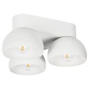 PSM Lighting Olivia 1815.E27 Ceiling Lamp
