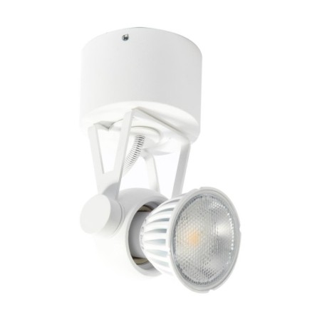 PSM Lighting Ringo 3241 Ceiling Lamp