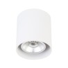 PSM Lighting Richard W1612 Ceiling Lamp