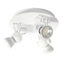 PSM Lighting Ringo 3244 Ceiling Lamp
