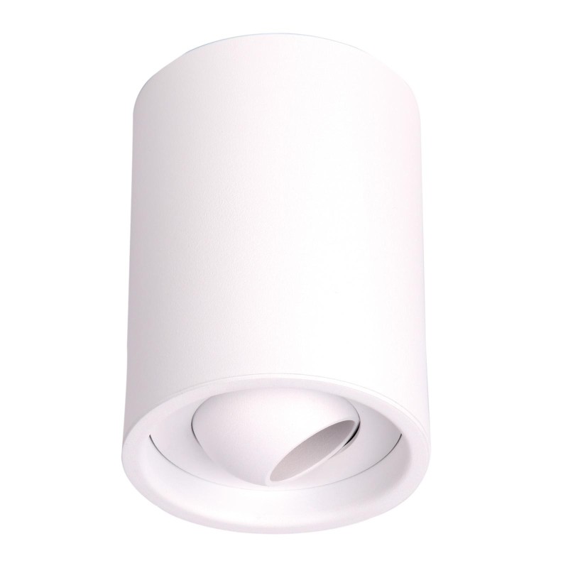 PSM Lighting Cameleon 1511.Zxo Ceiling Lamp
