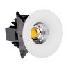 PSM Lighting Cameleon Xicato 5221.S2 Recessed Spot