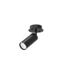 PSM Lighting Capucine Xl 4531.14 Ceiling Lamp