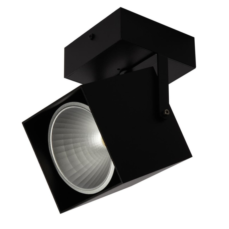 PSM Lighting Fixer 4099.Ip20 Ceiling Lamp