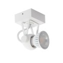 PSM Lighting Ringo 3230 Ceiling Lamp