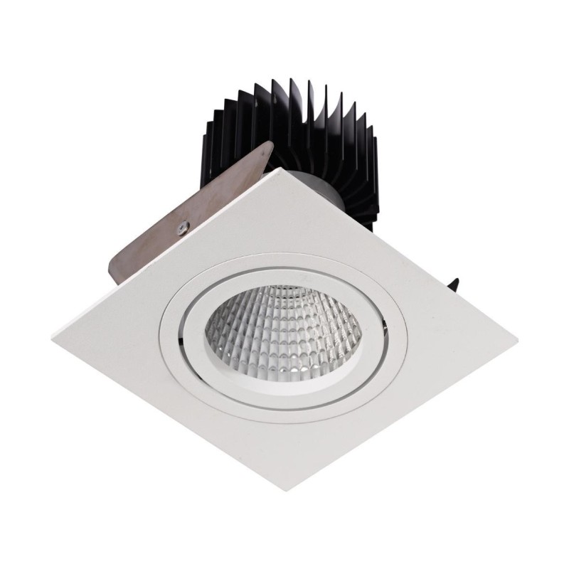 PSM Lighting Ø100 Luxor Xtm.1300.10040.S2 Recessed Spot