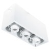 PSM Lighting Spinner X Forum 1887.Es50 Ceiling Lamp