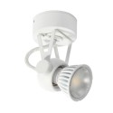 PSM Lighting Ringo 3240 Ceiling Lamp