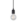 PSM Lighting Maestro 5003E.1 Suspension Lamp