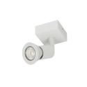 PSM Lighting Capucine 4510 Ceiling Lamp