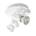 PSM Lighting Ringo 3243 Ceiling Lamp