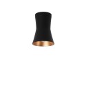 PSM Lighting Clara 3402.Es50 Ceiling Lamp
