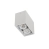 PSM Lighting Spinner X Ds 1886Ds.Es50 Ceiling Lamp