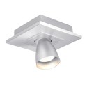 PSM Lighting Zoomclick 616.Es50.45  Ceiling Lamp