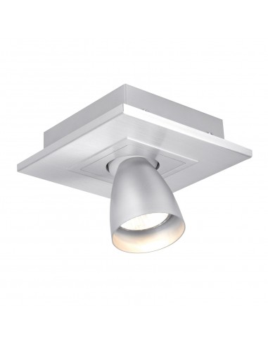 PSM Lighting Zoomclick 616.Es50.45  Ceiling Lamp