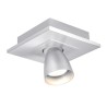 PSM Lighting Zoomclick 616.Es50.45  Ceiling Lamp