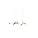 Trizo21 Austere-Suspension 1+ RL 16 suspension lamp
