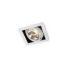 Trizo R07 in recessed spot