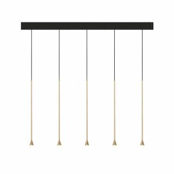 Trizo Austere-D2 5 RL 79 ceiling lamp