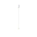 Trizo21 Austere-Solitaire RF D+B ceiling lamp