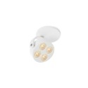 Trizo21 Mini-Pi 1 in ceiling lamp