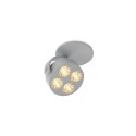 Trizo21 Mini-Pi 1C in ceiling lamp