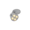 Trizo Mini-Pi 1C in ceiling lamp