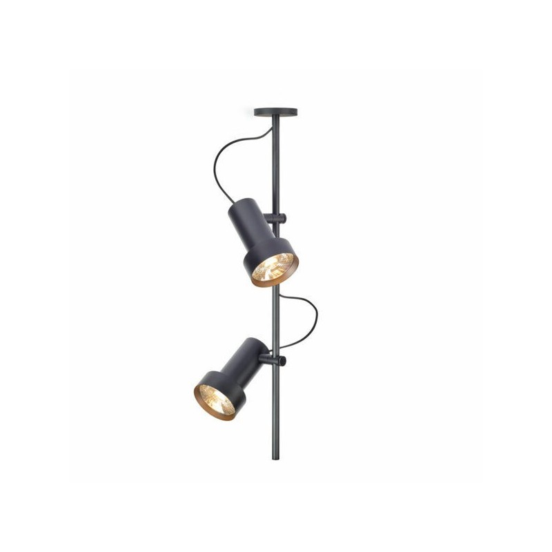 Trizo 2Thirty-C2 in ceiling lamp