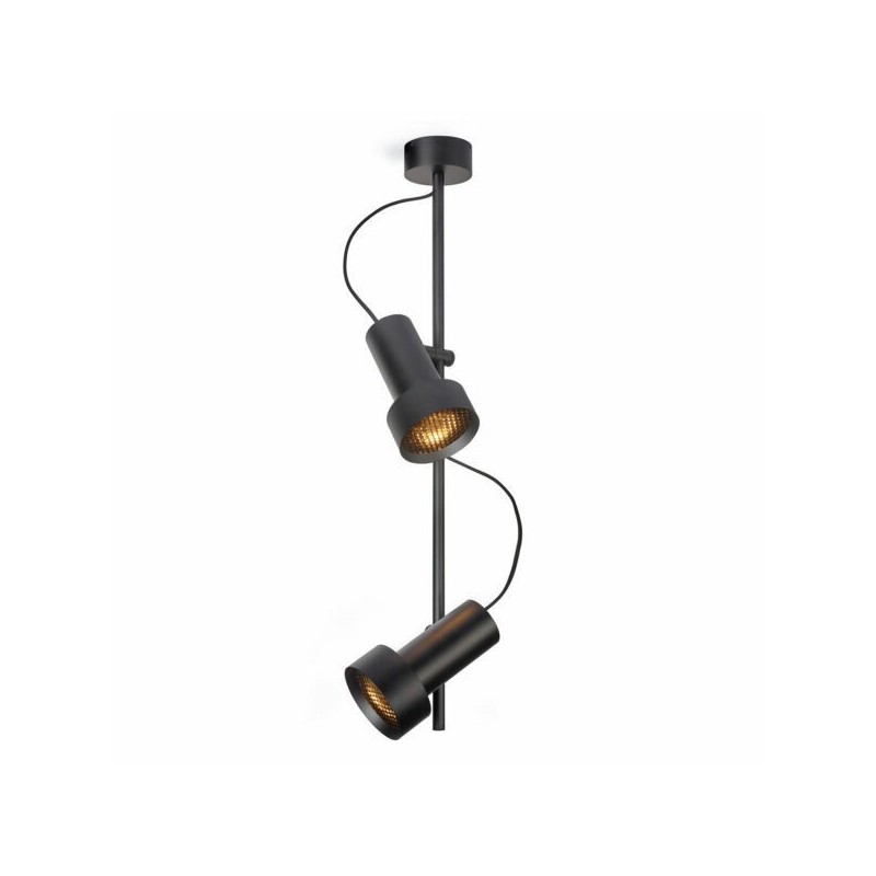 Trizo 2Thirty-CV2 with honeycomb ceiling lamp
