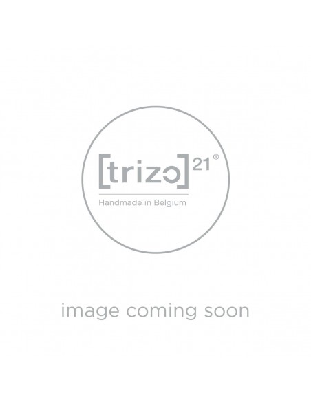Trizo21 Audy-Solitaire RLC ceiling lamp