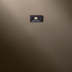 TAL DICE EXO LEAF recessed spot