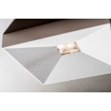 TAL DICE EXO LEAF recessed spot