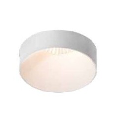 TAL FUNNEL EXO LEAF recessed spot